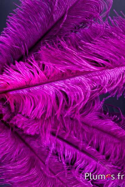 Autruche - 30-40 cm - gris naturel-fuchsia